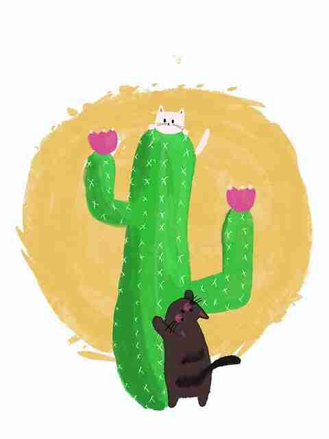 2023年P站驱动口碑秘籍:50招秘籍