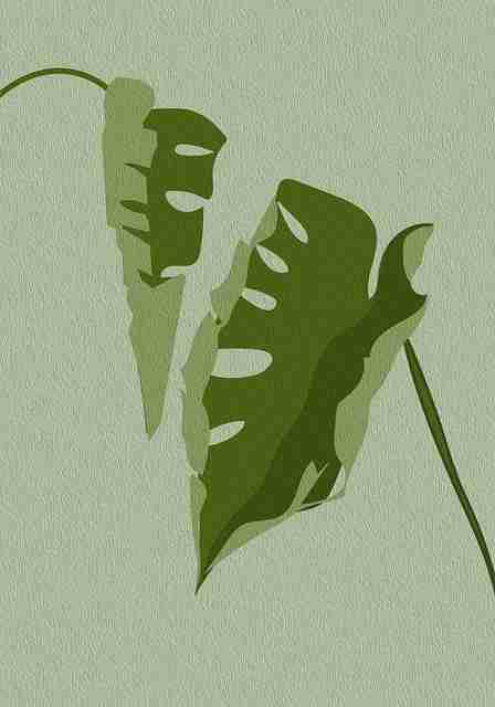 硬核——海角网址生态剖析