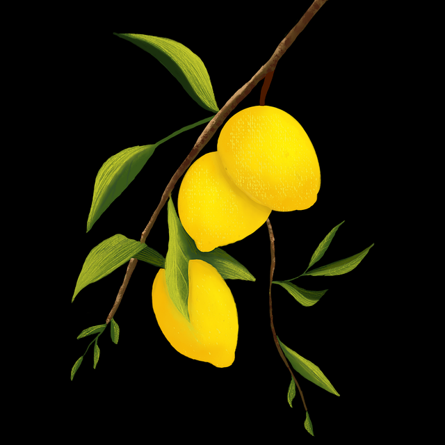 高能-海角网全攻略：终极指南