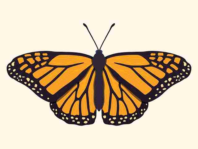 先锋逆袭P站官网入口，互动玩法——必读